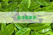 臨滄新寨茶