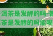 普洱茶是發(fā)酵的嗎-普洱茶是發(fā)酵的嗎能喝嗎