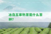 冰島五寨熟茶是什么茶種？