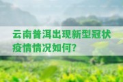 云南普洱出現(xiàn)新型冠狀疫情情況怎樣？