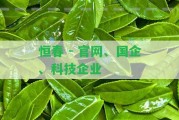 恒春 - 官網(wǎng)、國企、科技企業(yè)