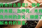 升木什么意思？-探尋升木猱、出柙兕、木升及升樹的含義，順便熟悉木升的發(fā)音。