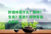 野豬林是什么？劇種？？意思？動物答案全解析