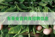 東茶業(yè)官網(wǎng)及招聘信息