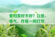 昔歸茶好不好？口感、香氣、作用一網(wǎng)打盡