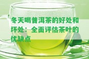 冬天喝普洱茶的好處和壞處：全面評(píng)估茶葉的優(yōu)缺點(diǎn)