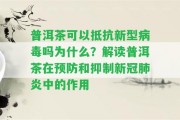 普洱茶可以抵抗新型病毒嗎為什么？解讀普洱茶在預(yù)防和抑制新冠肺炎中的作用