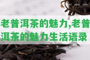 老普洱茶的魅力,老普洱茶的魅力生活語錄