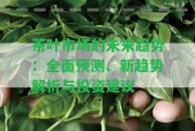 茶葉市場(chǎng)的未來趨勢(shì)：全面預(yù)測(cè)、新趨勢(shì)解析與投資建議