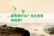 蚌龍是什么？文化背景和現(xiàn)狀？