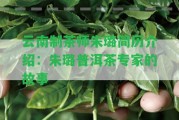 云南制茶師朱璐簡歷介紹：朱璐普洱茶專家的故事