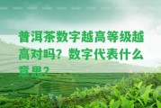 普洱茶數(shù)字越高等級(jí)越高對(duì)嗎？數(shù)字代表什么意思？