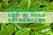 喝普洱尿會(huì)發(fā)黃嗎？男女是不是一樣？為什么會(huì)發(fā)黃？黃色是什么起因？