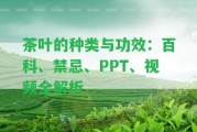 茶葉的種類與功效：百科、禁忌、PPT、視頻全解析