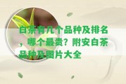 白茶有幾個(gè)品種及排名，哪個(gè)最貴？附安白茶品種及圖片大全