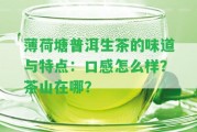 薄荷塘普洱生茶的味道與特點(diǎn)：口感怎么樣？茶山在哪？