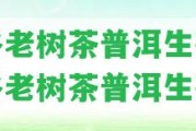 景谷老樹茶普洱生茶「景谷老樹茶普洱生茶」