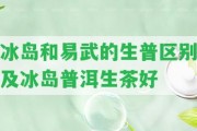 冰島和易武的生普區(qū)別及冰島普洱生茶好