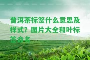 普洱茶標(biāo)簽什么意思及樣式？圖片大全和葉標(biāo)簽命名