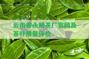 云南省永明茶廠(chǎng)官網(wǎng)及茶葉品質(zhì)評價(jià)