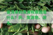 普洱茶的發(fā)源和起因是什么？歷、發(fā)源地、源頭。