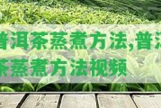 普洱茶蒸煮方法,普洱茶蒸煮方法視頻