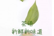 重慶-在楊夫人茶館學(xué)習(xí)茶藝，人參烏龍茶