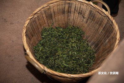 勐普洱茶的特點(diǎn)和口感介紹及熟茶357g價格