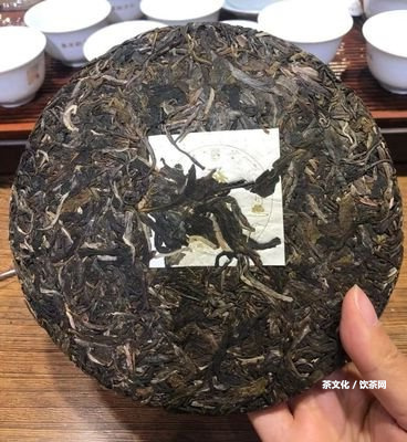 普洱有不存在小種茶？屬于什么茶？