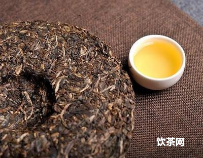 賽云古茶是真的冰島茶嗎？創(chuàng)立時(shí)間是什么？