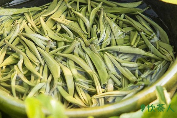 綠茶有哪些品種，綠茶品種排名前十名(中國十大名貴綠茶)