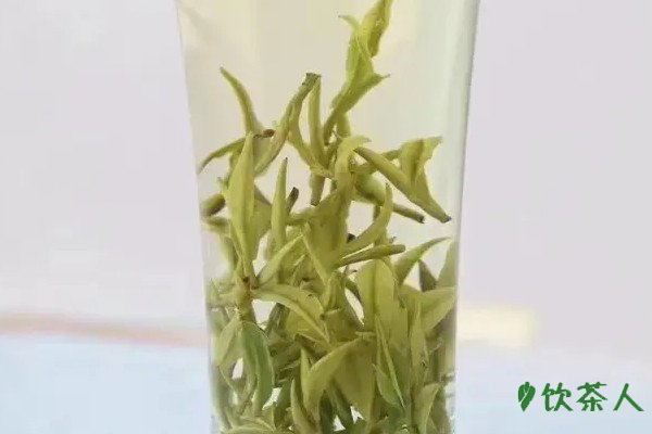 綠茶有哪些品種，綠茶品種排名前十名(中國十大名貴綠茶)