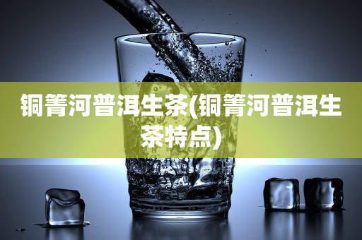 銅箐河普洱生茶(銅箐河普洱生茶特點(diǎn))