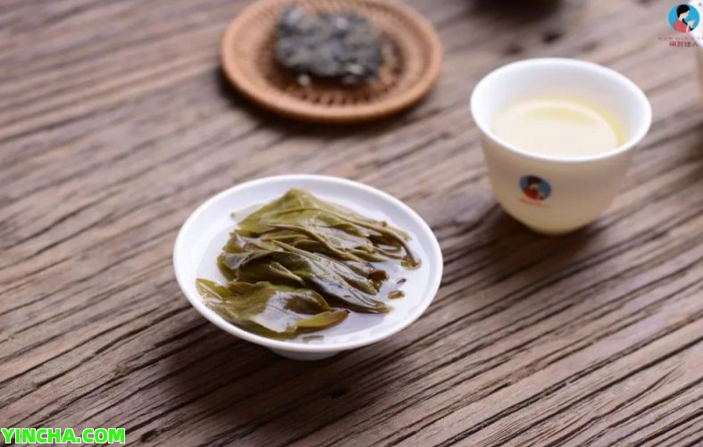 中茶8571茶葉品種、產(chǎn)地、口感、價格及購買渠道全解析