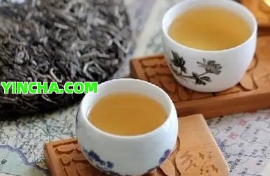 冰島茶山：六大還是四大？解析茶樹的分布與特點