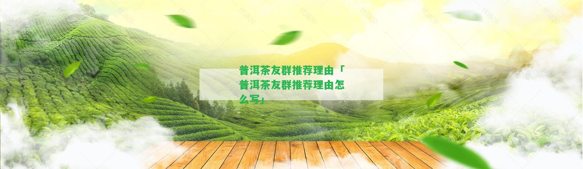 普洱茶友群推薦理由「普洱茶友群推薦理由怎么寫(xiě)」