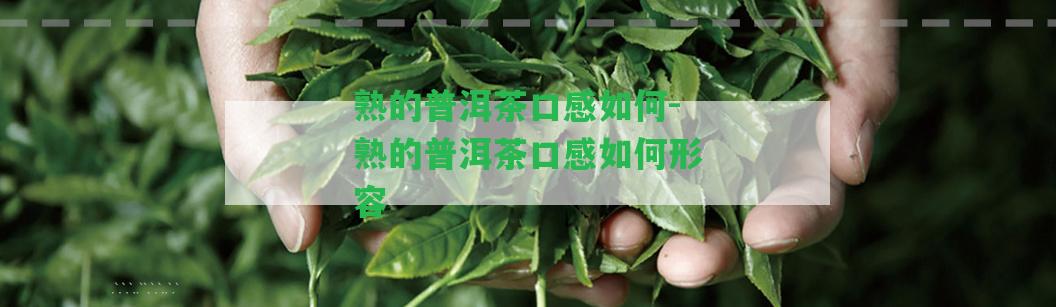 熟的普洱茶口感怎樣-熟的普洱茶口感怎樣形容