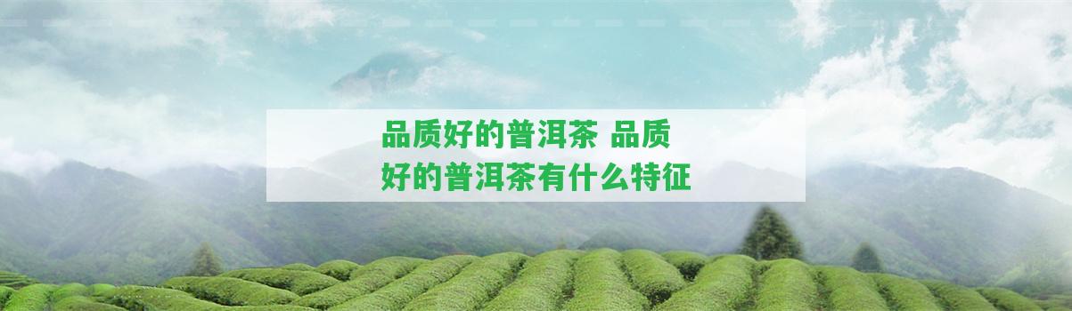 品質(zhì)好的普洱茶 品質(zhì)好的普洱茶有什么特征