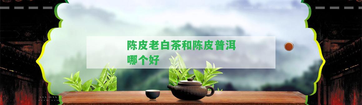 陳皮老白茶和陳皮普洱哪個(gè)好