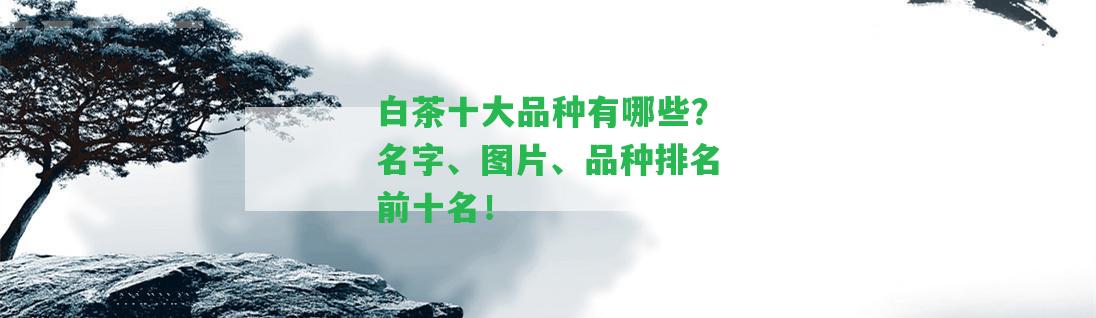 白茶十大品種有哪些？名字、圖片、品種排名前十名！