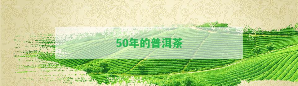 50年的普洱茶