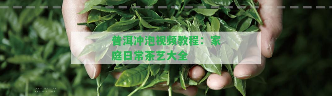 普洱沖泡視頻教程：家庭日常茶藝大全