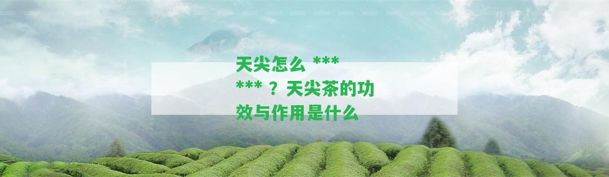 天尖怎么    ？天尖茶的功效與作用是什么