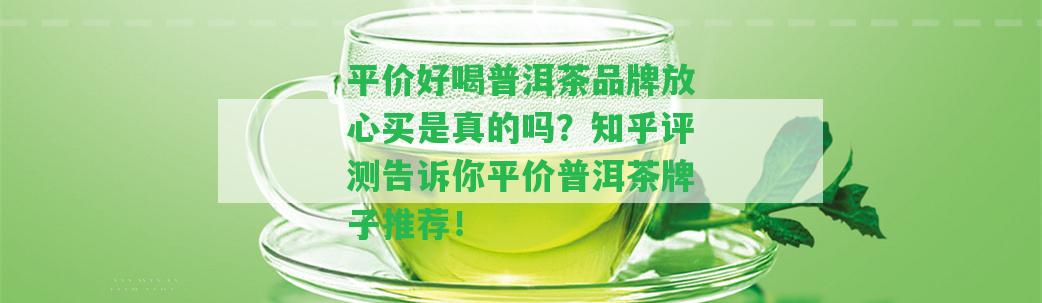 平價(jià)好喝普洱茶品牌放心買(mǎi)是真的嗎？知乎評(píng)測(cè)告訴你平價(jià)普洱茶牌子推薦！