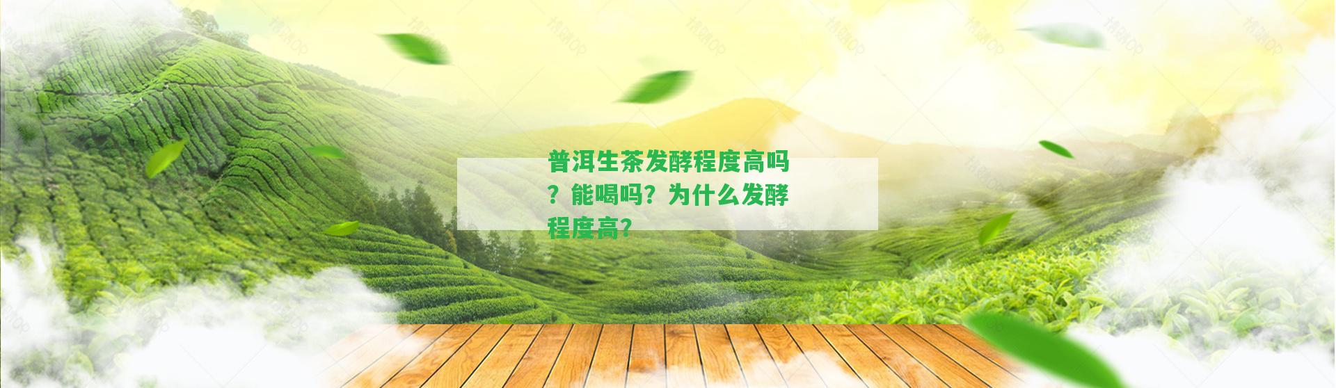 普洱生茶發(fā)酵程度高嗎？能喝嗎？為什么發(fā)酵程度高？