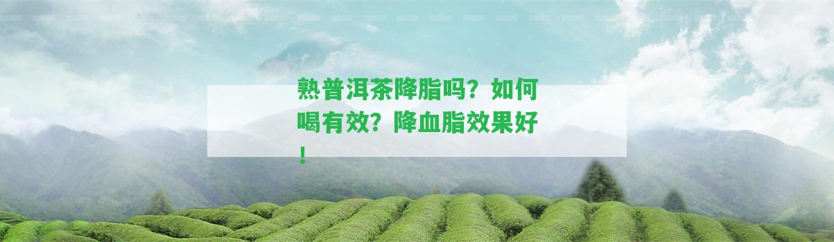 熟普洱茶降脂嗎？怎樣喝有效？降血脂效果好！