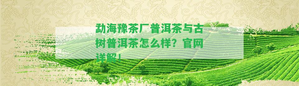 勐海豫茶廠(chǎng)普洱茶與古樹(shù)普洱茶怎么樣？官網(wǎng)詳解！