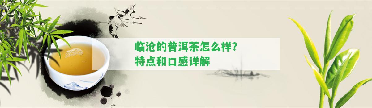 臨滄的普洱茶怎么樣？特點和口感詳解