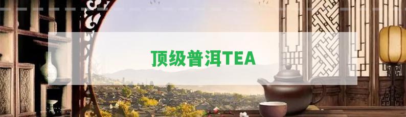 頂級普洱TEA