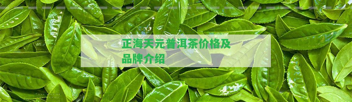 正海天元普洱茶價(jià)格及品牌介紹